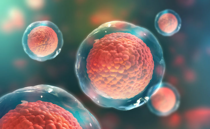 stem cell in houston