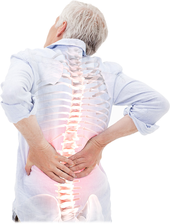 spinal osteoporosis